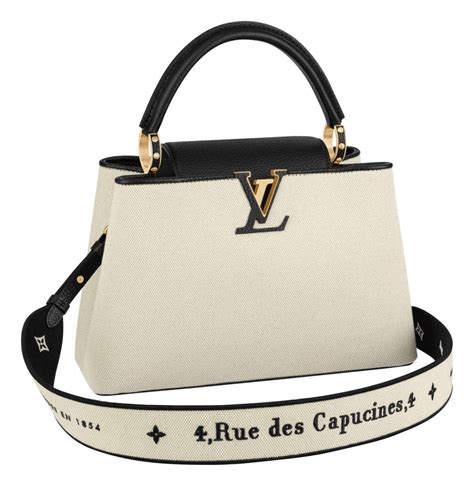 louis vuitton capuncine|louis vuitton capucines price euro.